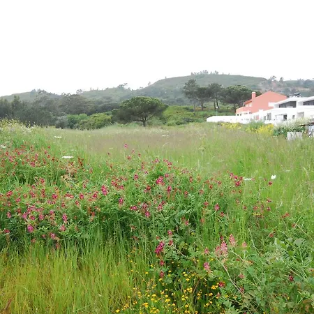 Holiday home Casa Cela Cela (Leira)